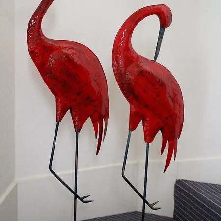 Le Pelican